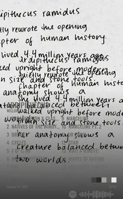 WILLOW - ARDIPITHECUS.jpg